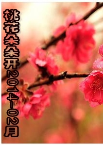 桃花朵朵开2014-02月